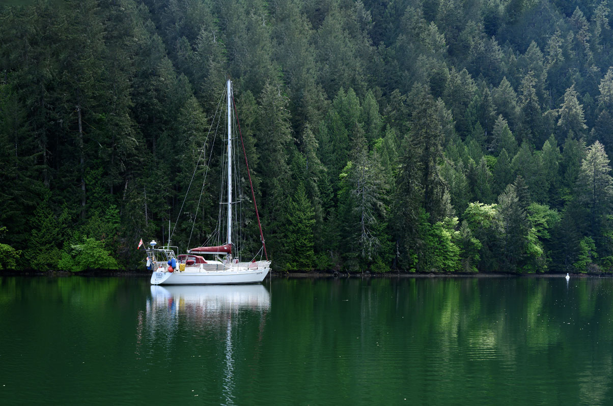 Sail boat anchored on a lake in forest