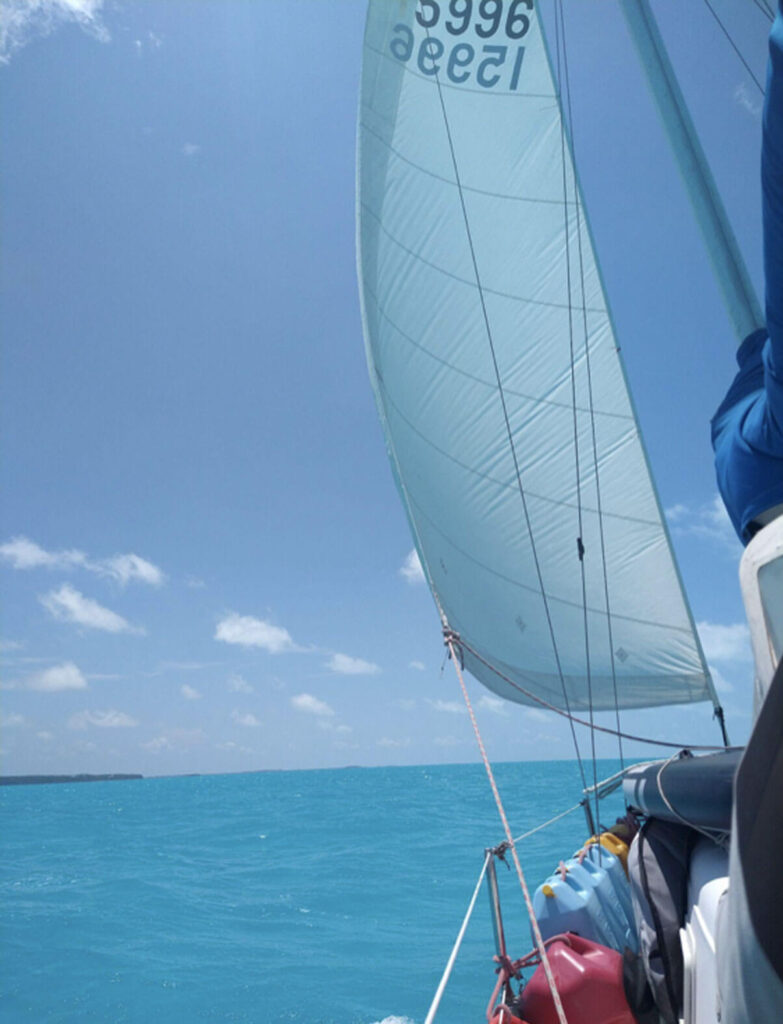 Wildly Intrepid Sailing - Falling in LOVE with CRUISING
